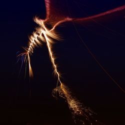 Low angle view of fireworks against sky at night
