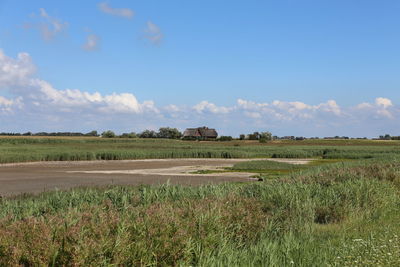 Scenic view of field against sky