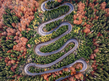 High angle view of plants on road in city