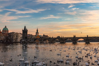 Bridge over river against buildings in city