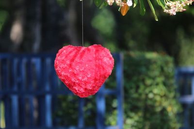Close-up of red heart shape hanging on tree