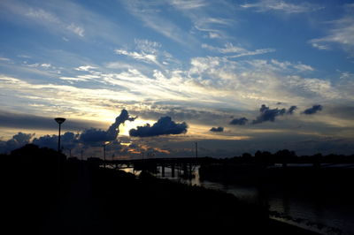 Silhouette of trees at sunset