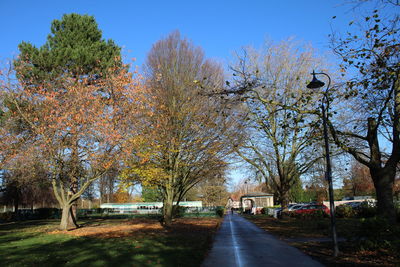 Street amidst trees against sky during autumn