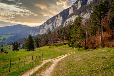 Road amidst trees against sky