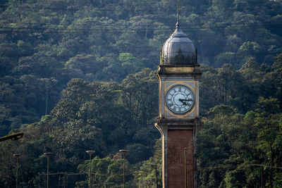 Clock tower amidst trees and buildings in forest