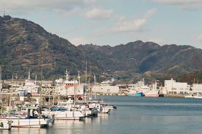 Sailboats moored in harbor