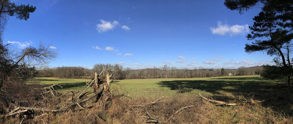 Scenic view of field against sky