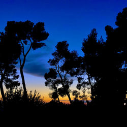 Low angle view of silhouette trees against sky at sunset