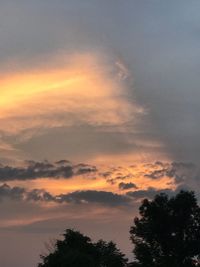 Low angle view of tree against dramatic sky