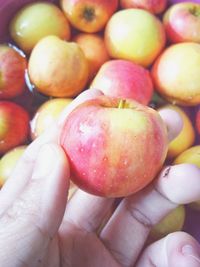 Close-up of hand holding fruits