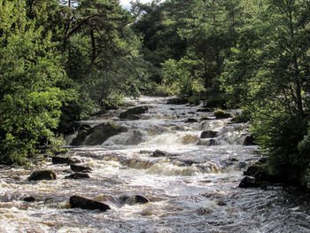 River flowing through rocks