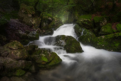 Scenic view of waterfall in forest