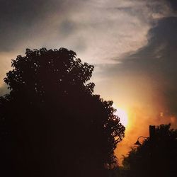 Low angle view of silhouette trees against sky at sunset