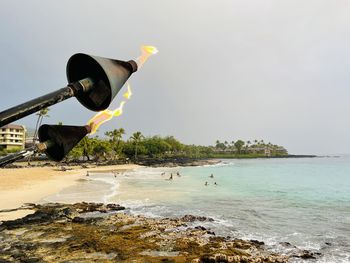 Birds flying over beach