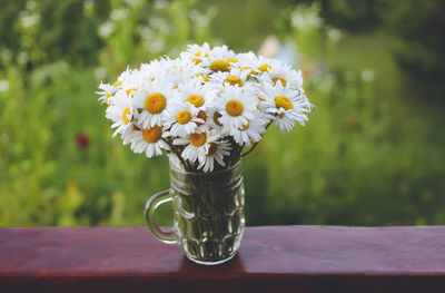 Close-up of yellow flowers in vase