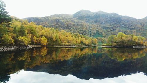 Reflection of trees in lake