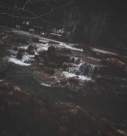 View of trees at night