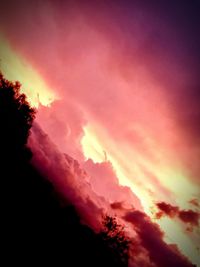 Low angle view of silhouette trees against orange sky