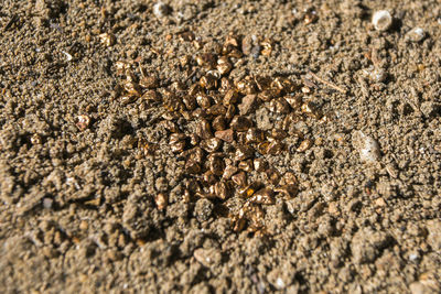 Full frame shot of sand