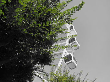 Low angle view of tree against sky