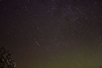 Low angle view of starry sky