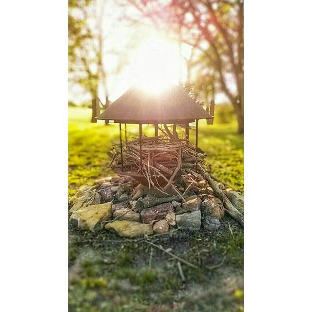 transfer print, grass, sunlight, field, auto post production filter, tranquility, nature, sun, wood - material, dry, landscape, tranquil scene, no people, surface level, sunset, outdoors, lens flare, selective focus, sunbeam, falling