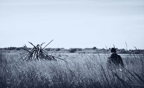 Scenic view of grassy field