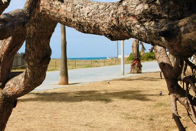 Tree trunk by sea against sky