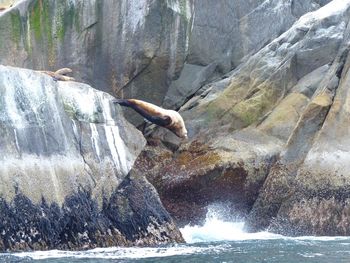 Man standing in water
