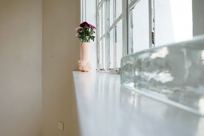 Potted plant on table by window