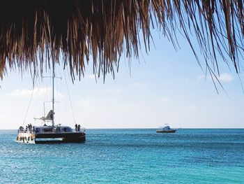 Tropical  island cruise in aruba