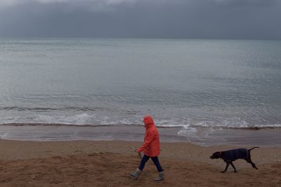 Dog walker on the beach