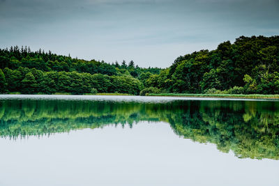 Scenic view of lake by trees against sky