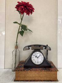 Close-up of flowers in vase at home