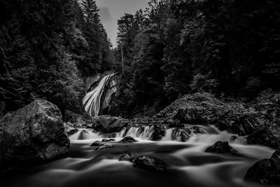 Stream flowing through rocks in forest