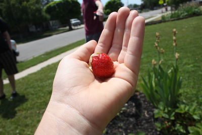 Close-up of cropped hand holding fresh strawberry