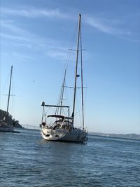 Sailboat sailing on sea against sky