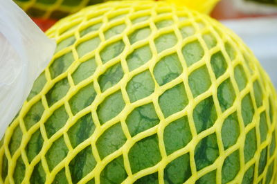 Close-up of green leaf