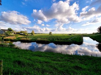 Scenic view of agricultural field against sky