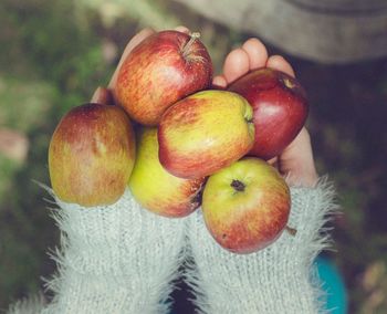 Close-up of apples