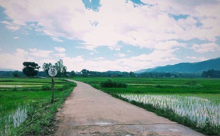 ROAD PASSING THROUGH FIELD