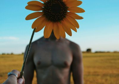 Cropped hand of woman covering man face with sunflower
