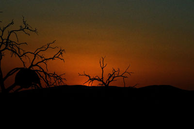 Silhouette bare tree against sky during sunset