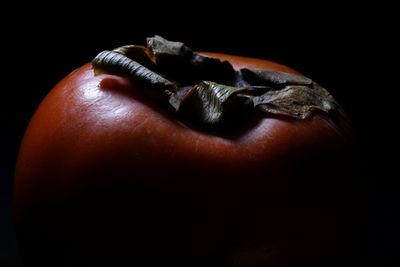 Close-up of food against black background