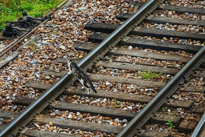 High angle view of railroad tracks