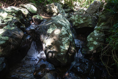 Close-up of waterfall in forest