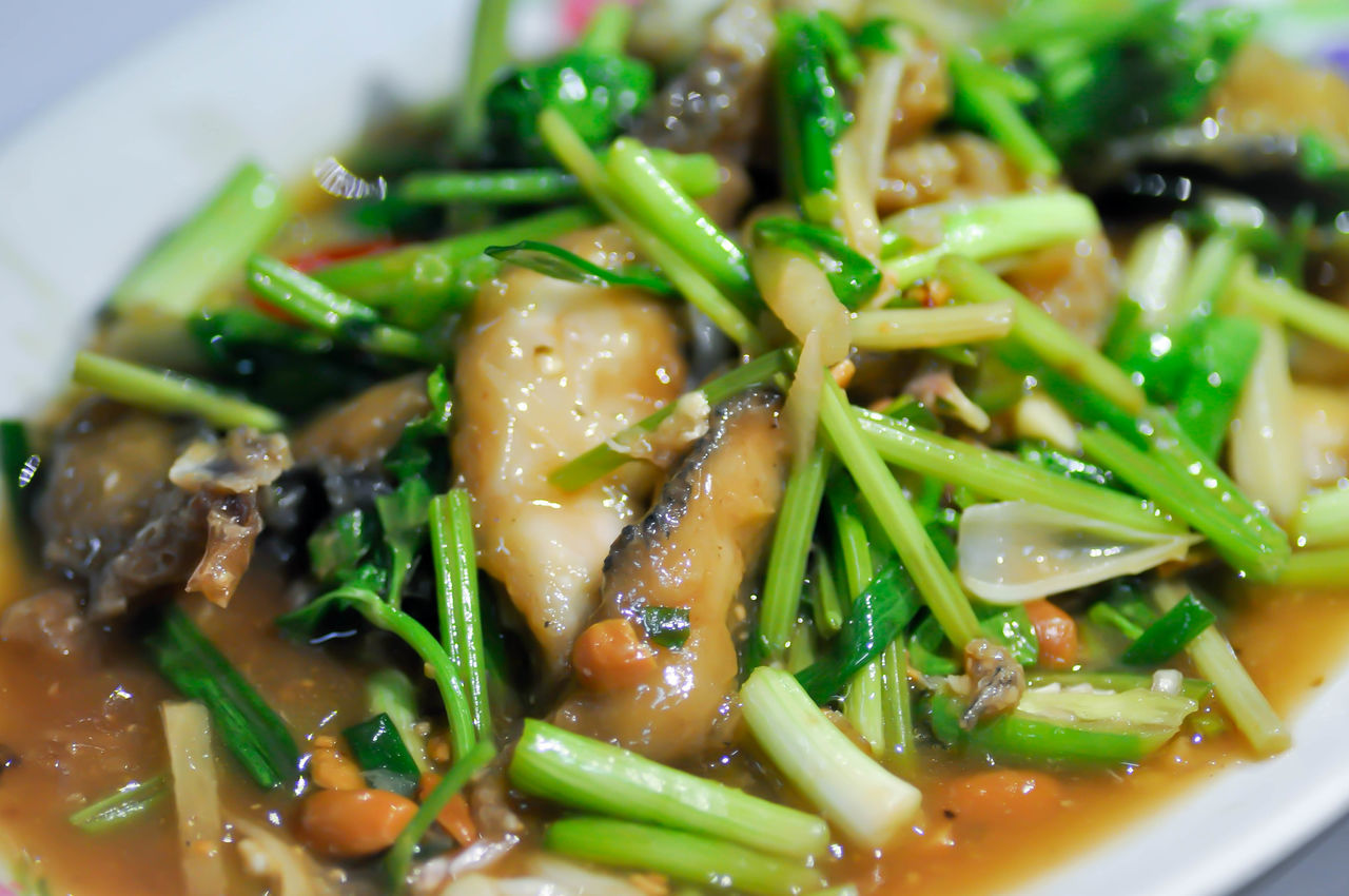 CLOSE-UP OF FRESH SALAD WITH VEGETABLES