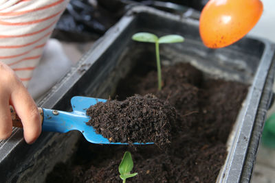 Midsection of person holding soil on shovel in seeding tray