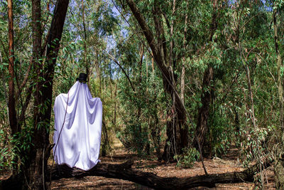 Rear view of person standing amidst trees in forest