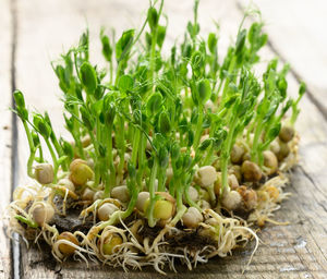 Close-up of vegetables on table